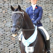 East Coast Arabian Championships 2019