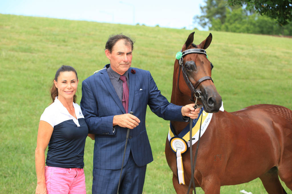 East Coast Arabian Championships 2019