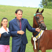 East Coast Arabian Championships 2019