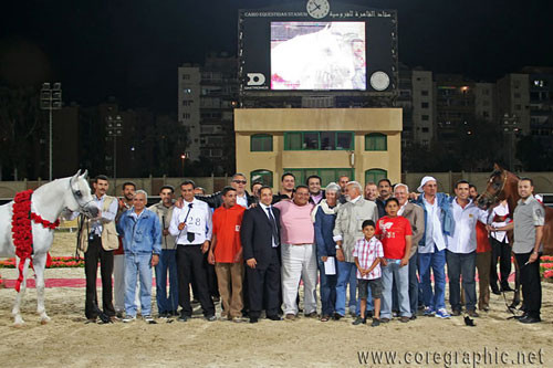 NATIONAL CHAMPION STALLION - HAMRA ALIGANCE - 11/05/1998
SIRE: ALI VALENTINO
DAM: SONBOHLA MUSICL
OWNER: EL FARIDA
BREEDER: GUBBIOTTI - ITALY
