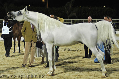 General Show Photos