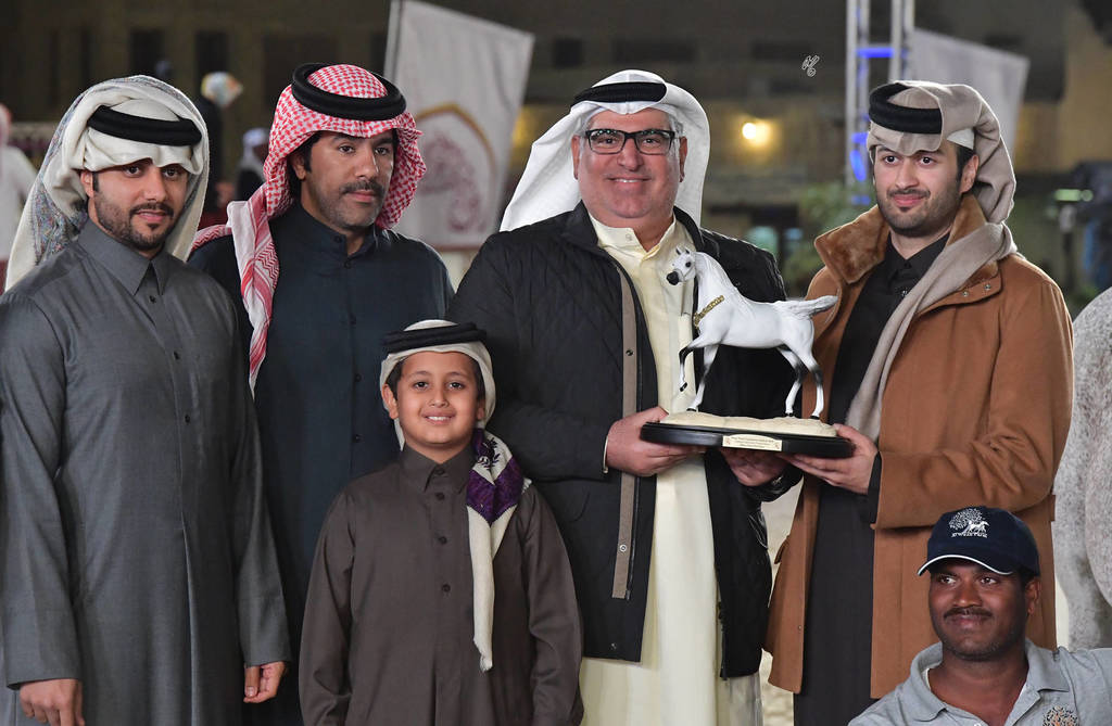 Senior Stallion Gold Champion: Fares Al Rayyan (Ansata Hejazi X G Shafaria)