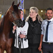 Senior Stallion Silver Champion: Asayel Raheeb (Naseem Alnakeeb X F Shubani Bint Al Lahab)