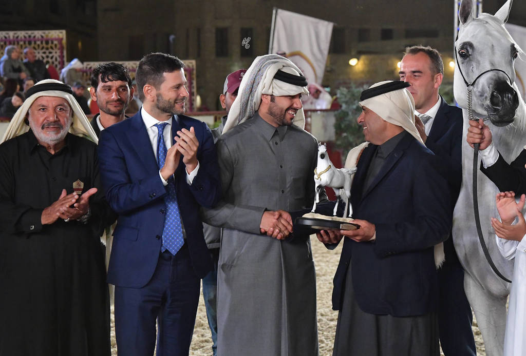 Senior Mare Gold Champion: Menouah Al Rayyan (Fares Al Rayyan X Bint Mesoudah M HP) 