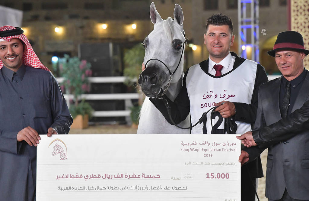 Senior Mare Gold Champion: Menouah Al Rayyan (Fares Al Rayyan X Bint Mesoudah M HP) 