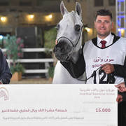 Senior Mare Gold Champion: Menouah Al Rayyan (Fares Al Rayyan X Bint Mesoudah M HP) 