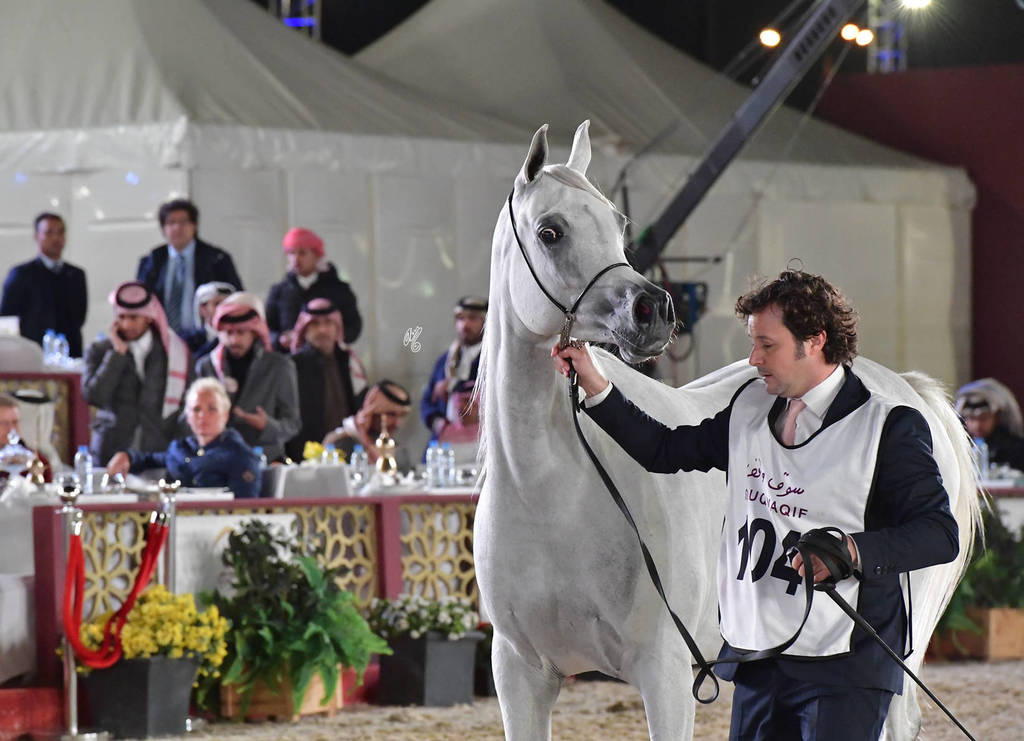 Senior Mare Silver Champion: Ghazalah Al Waab (Barraq El Aliya X Nabeela Saqr)