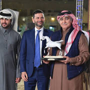 Senior Mare Bronze Champion Champion:  Maisa Al Nasser (Sinan Al Rayyan X Zenubia Al Nasser)