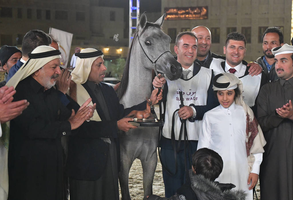 Junior Colt Gold Champion: Efreen Al Rayyan (Al Adeed Al Shaqab X Sahla Al Rayyan)