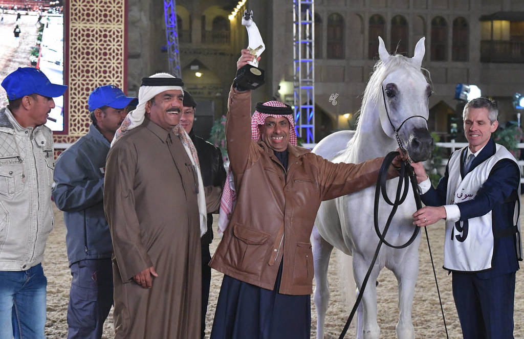 Junior Colt Silver Champion: Dukhan Al Rayyan (Sabeh Al Salhiyah X Serene Ciai Dii)
