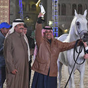 Junior Colt Silver Champion: Dukhan Al Rayyan (Sabeh Al Salhiyah X Serene Ciai Dii)