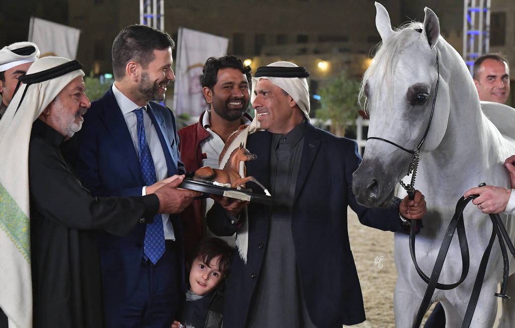 Junior Colt Silver Champion: Dukhan Al Rayyan (Sabeh Al Salhiyah X Serene Ciai Dii)