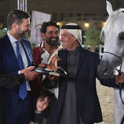 Junior Colt Silver Champion: Dukhan Al Rayyan (Sabeh Al Salhiyah X Serene Ciai Dii)