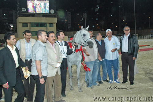 JUNIOR CHAMPION FILLY - IMEILA - 11/05/2005
SIRE: IMTAARIF
DAM: NIMEELAH
OWNER: EL FARIDA
BREEDER: KEN & MARY SCRIBNER - USA