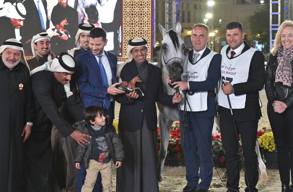 Junior Filly Bronze Champion: Al Ghashamiya Al Rayyan (Al Adeed Al Shaqab X Mardyah Al Rayyan)