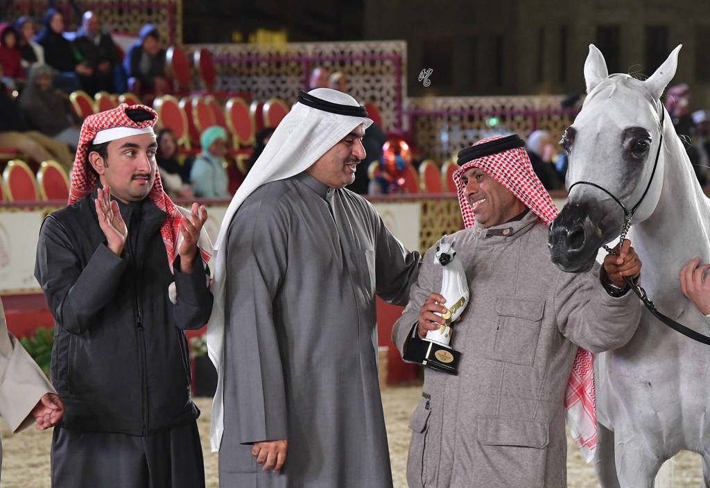 Dawlah Al Shaqab: Mares 7-11 Years Old