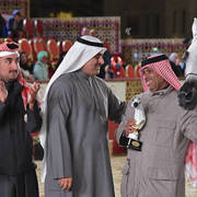 Dawlah Al Shaqab: Mares 7-11 Years Old