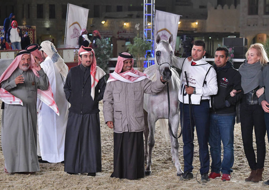 Mahfouza Al Shaqab: Mares 4-6 Years Old