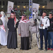 Mahfouza Al Shaqab: Mares 4-6 Years Old