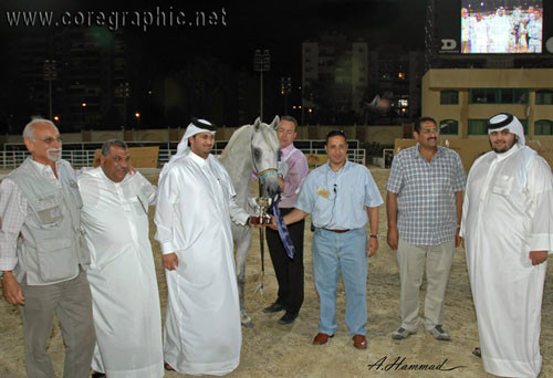 RESERVE JUNIOR CHAMPION COLT - JAMIL AL RAYAAN - 03/10/2005
SIRE: ANSATA HEJAZI
DAM: DANA AL RAYAAN
OWNER: AL BAIDAA & EL GABRY
BREEDER: ALRAYAAN FARM - QATAR