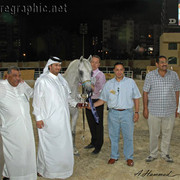 RESERVE JUNIOR CHAMPION COLT - JAMIL AL RAYAAN - 03/10/2005
SIRE: ANSATA HEJAZI
DAM: DANA AL RAYAAN
OWNER: AL BAIDAA & EL GABRY
BREEDER: ALRAYAAN FARM - QATAR