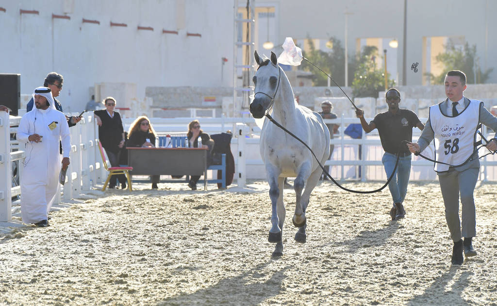 Dalal Al Waab: Fillies 3 Years Old 