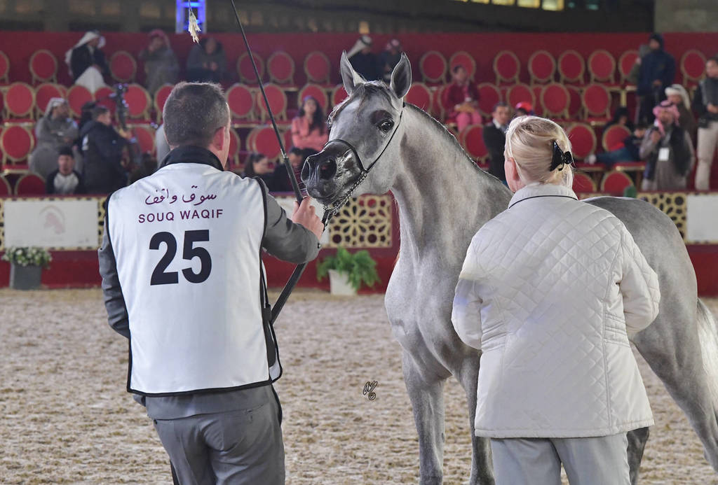 Toya Al Rowdha: Fillies 2 Years Old 