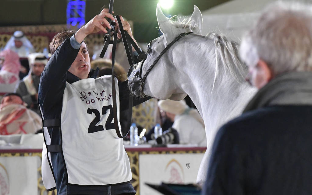 Nayla Al Nasser: Fillies 2 Years Old