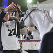 Nayla Al Nasser: Fillies 2 Years Old