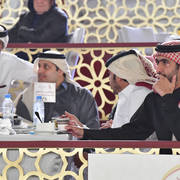 Lisa Abraham: The 2019 Souq Waqif Equestrian Festival