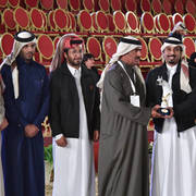 Senior Stallion Gold Champion: Gazwan Al Nasser (Gazal Al Shaqab X Ftoon Al Shaqab) 