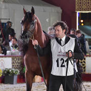 Senior Stallion Silver Champion: Sharaf Al Shahania (FA El Rasheem X Marwan Cristalrca)