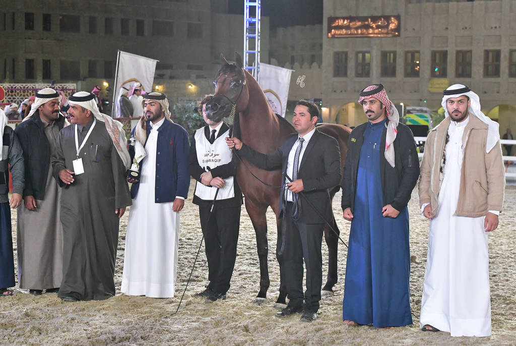 Senior Stallion Silver Champion: Sharaf Al Shahania (FA El Rasheem X Marwan Cristalrca)