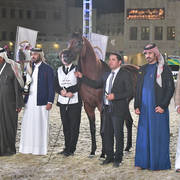 Senior Stallion Silver Champion: Sharaf Al Shahania (FA El Rasheem X Marwan Cristalrca)
