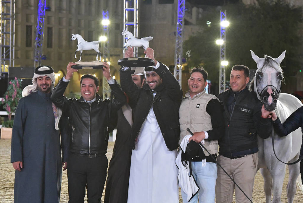 Senior Stallion Bronze Champion:  
Om El Sanadeed (OM El Shahmaan X OM El Jinaah)