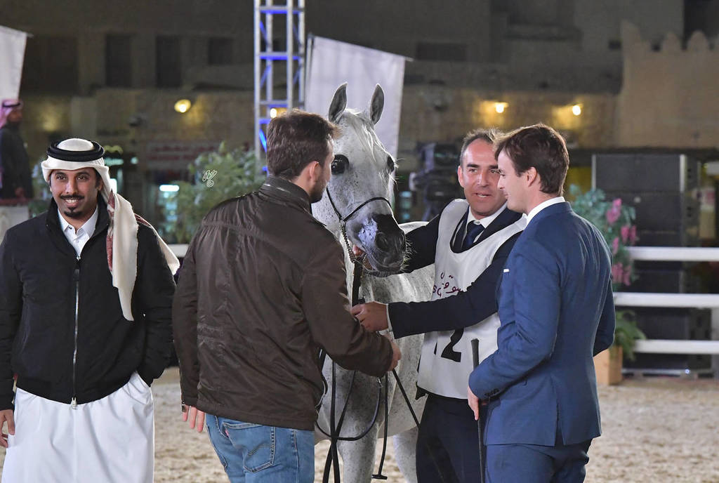 Senior Mare Gold Champion: Wasa (WH Justice X Waresa)  