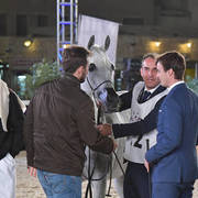 Senior Mare Gold Champion: Wasa (WH Justice X Waresa)  