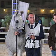 Senior Mare Gold Champion: Wasa (WH Justice X Waresa)