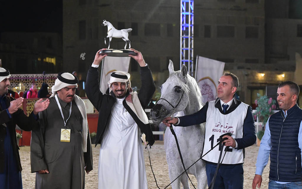 Senior Mare Gold Champion: Wasa (WH Justice X Waresa)