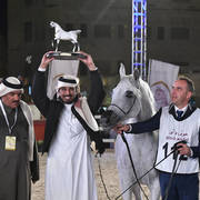 Senior Mare Gold Champion: Wasa (WH Justice X Waresa)