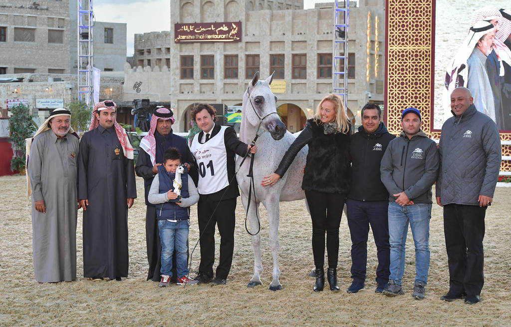 Senior Mare Silver Champion: Thamamah Al Shaqab (Gazal Al Shaqab X Thourayah Al Shaqab)