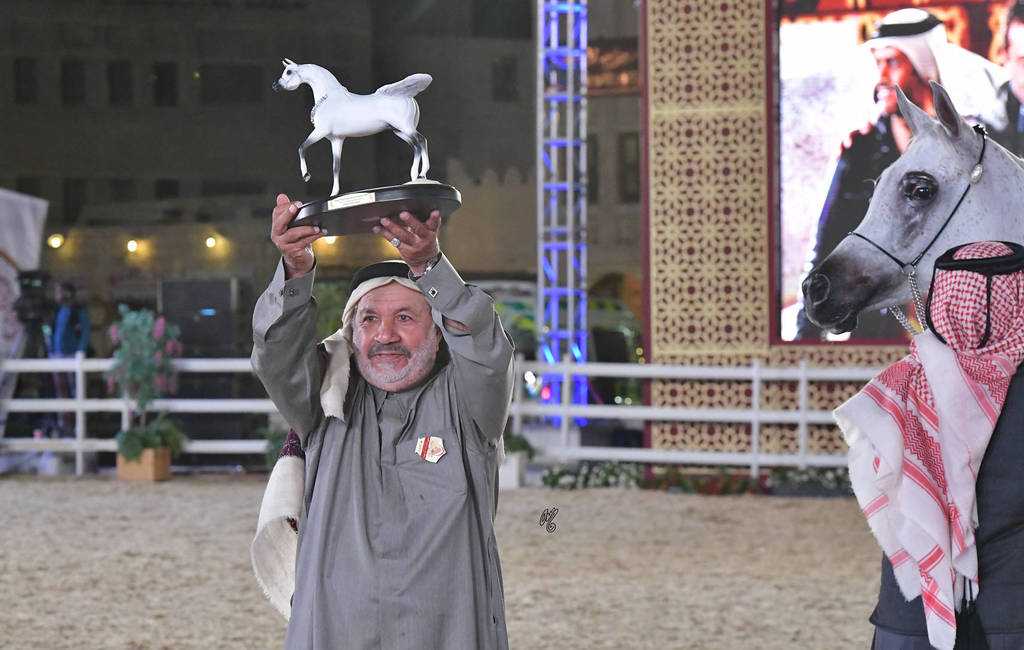 Senior Mare Silver Champion: Thamamah Al Shaqab (Gazal Al Shaqab X Thourayah Al Shaqab)