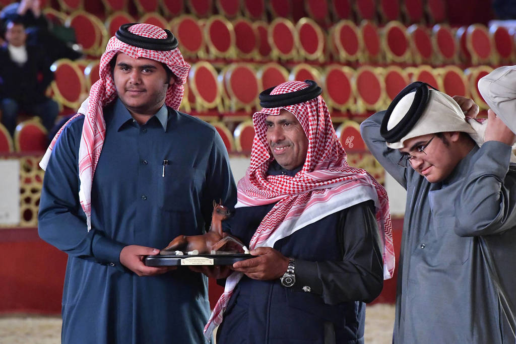 Junior Colt Gold Champion: Tayamon Al Shaqab (Marwan Al Shaqab X Farah Al Shaqab)   