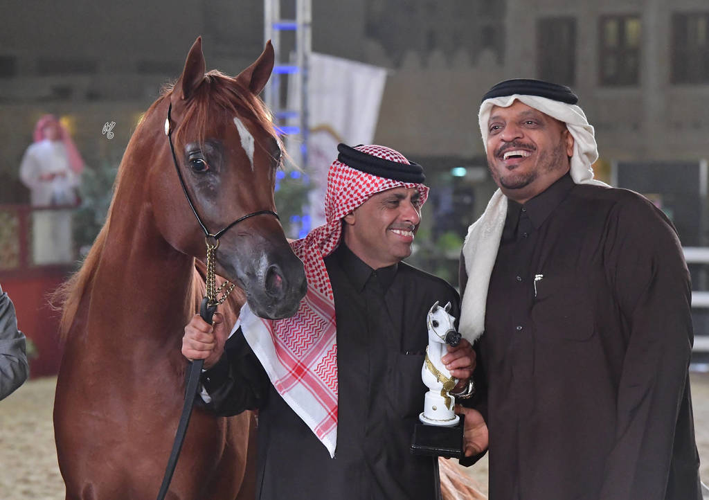 Junior Colt Gold Champion: Tayamon Al Shaqab (Marwan Al Shaqab X Farah Al Shaqab)   