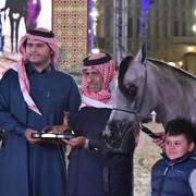 Junior Colt Bronze Champion: Aqil Al Shaqab (SMA Magic One X Faten Al Shaqab)    