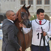 Junior Filly Gold Champion: EM Queen Desert (Fadi Al Shaqab X Wajd Al Shaqab) 