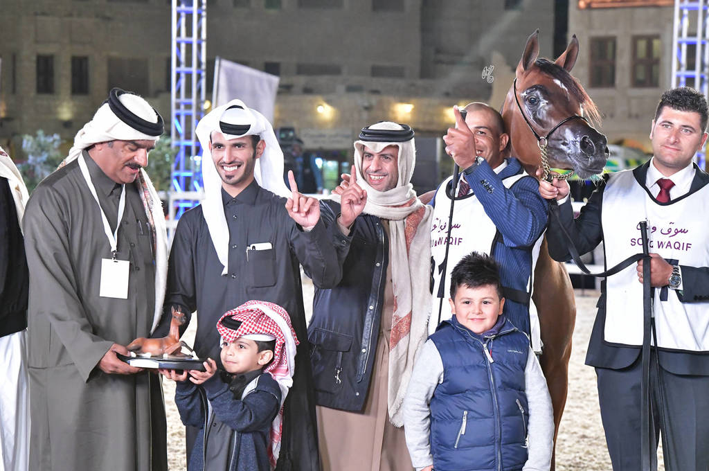 Junior Filly Gold Champion: EM Queen Desert (Fadi Al Shaqab X Wajd Al Shaqab) 