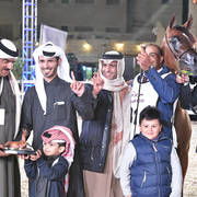 Junior Filly Gold Champion: EM Queen Desert (Fadi Al Shaqab X Wajd Al Shaqab) 