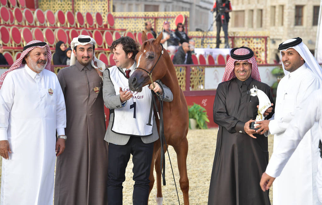 Junior Filly Silver Champion: Shuaa Al Shaqab (SMA Magic One X Al Farida Al Shaqab)  