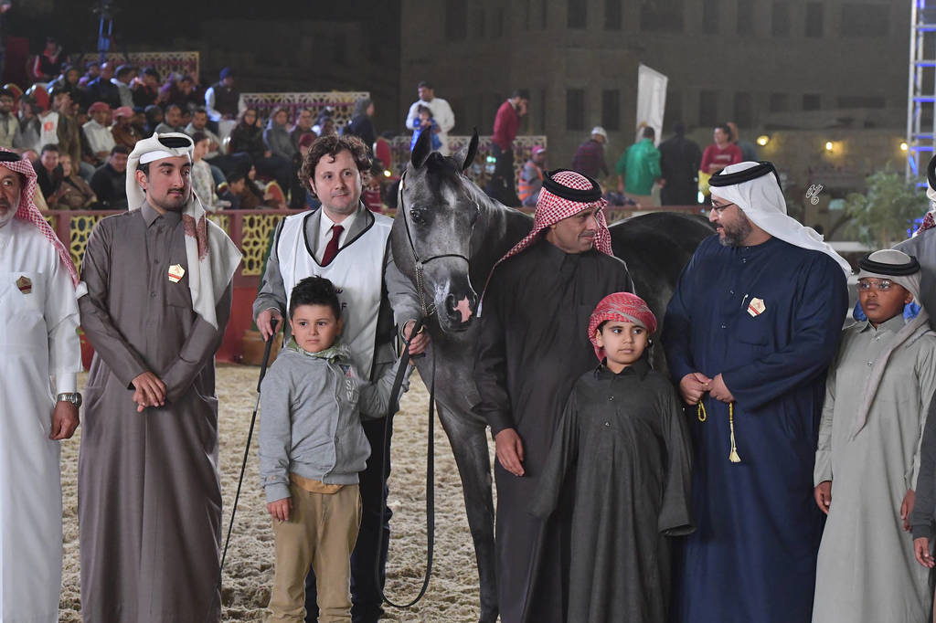 Junior Filly Bronze Champion: Ramtha Al Shaqab (Hadidy Al Shaqab X ZT Maghan) 